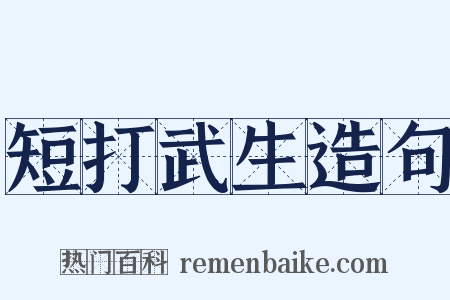 短打武生造句是什么意思的图片